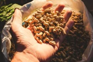 a hand holding a pile of wood pellets