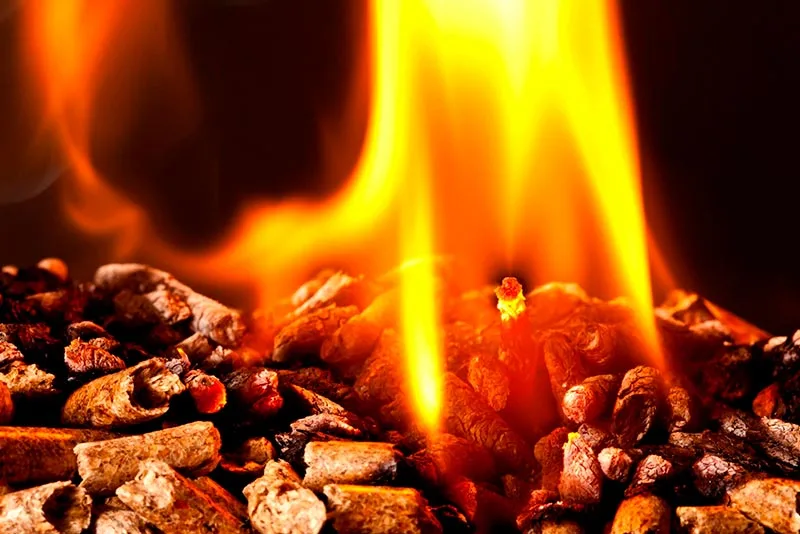 Descubre el Poder de la Combustión: Cómo Funciona y Su Impacto en la Industria 2024